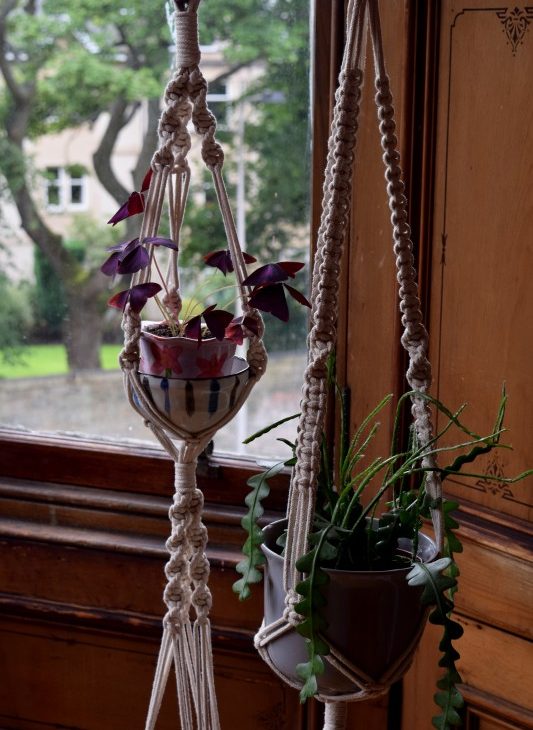 Two macramé hangers holding plants in pots