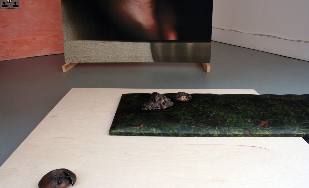 Detail of bronze casted rocks displayed on top of a stretched image of scanned moss printed on fabric, on a birch plywood sheet with a washed out terracotta coloured wall and detail of a scanned foot on fabric in the background