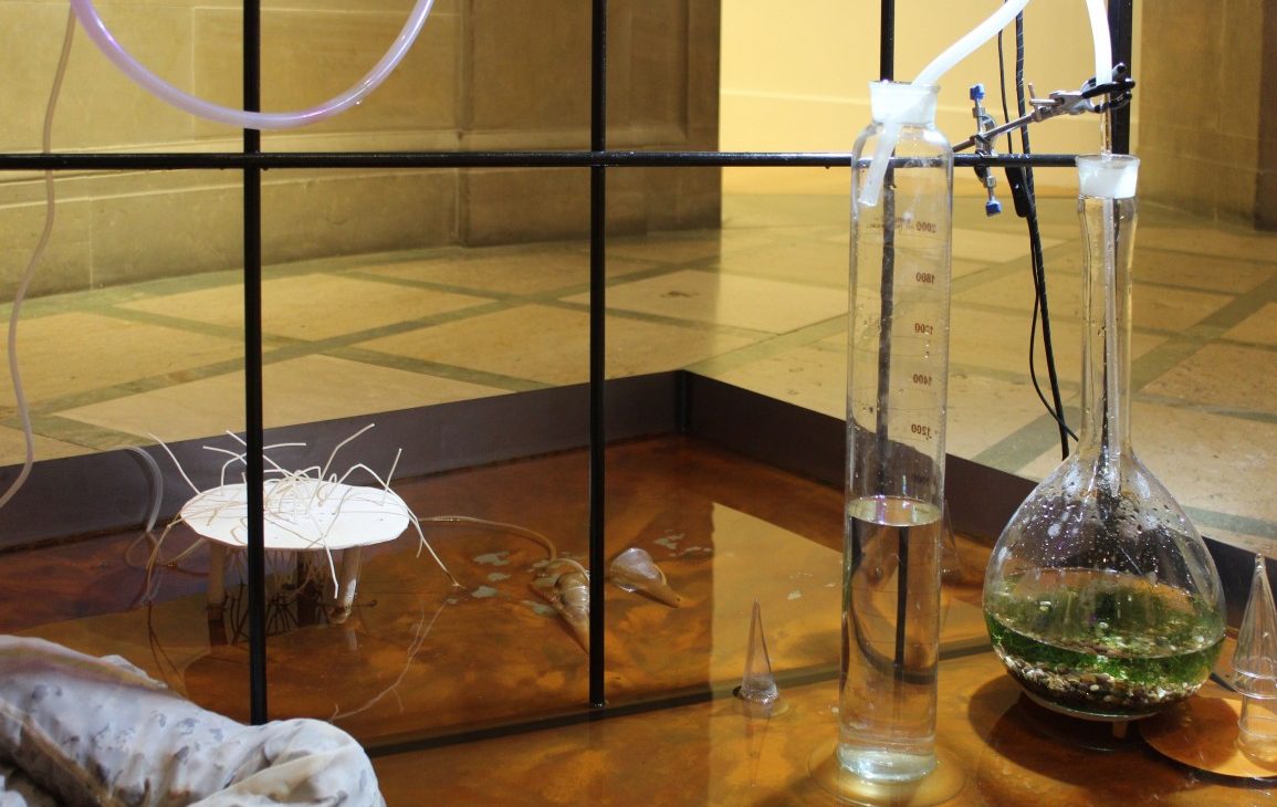 Floor level view of scientific glass apparatus, consisting of tall containers and beakers filled with varying levels of water. There are frosted pipes connecting the apparatus and they sit in a shallow water with rusted tones, set against a metal rod grid
