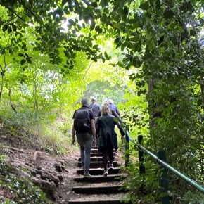 A small group of people walking up some steps in a woodland with green foliage.