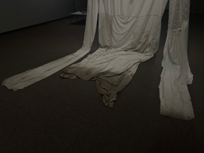Artwork by Dasha Chechushkova, showing huge fabric dress hanging in darkened gallery space.